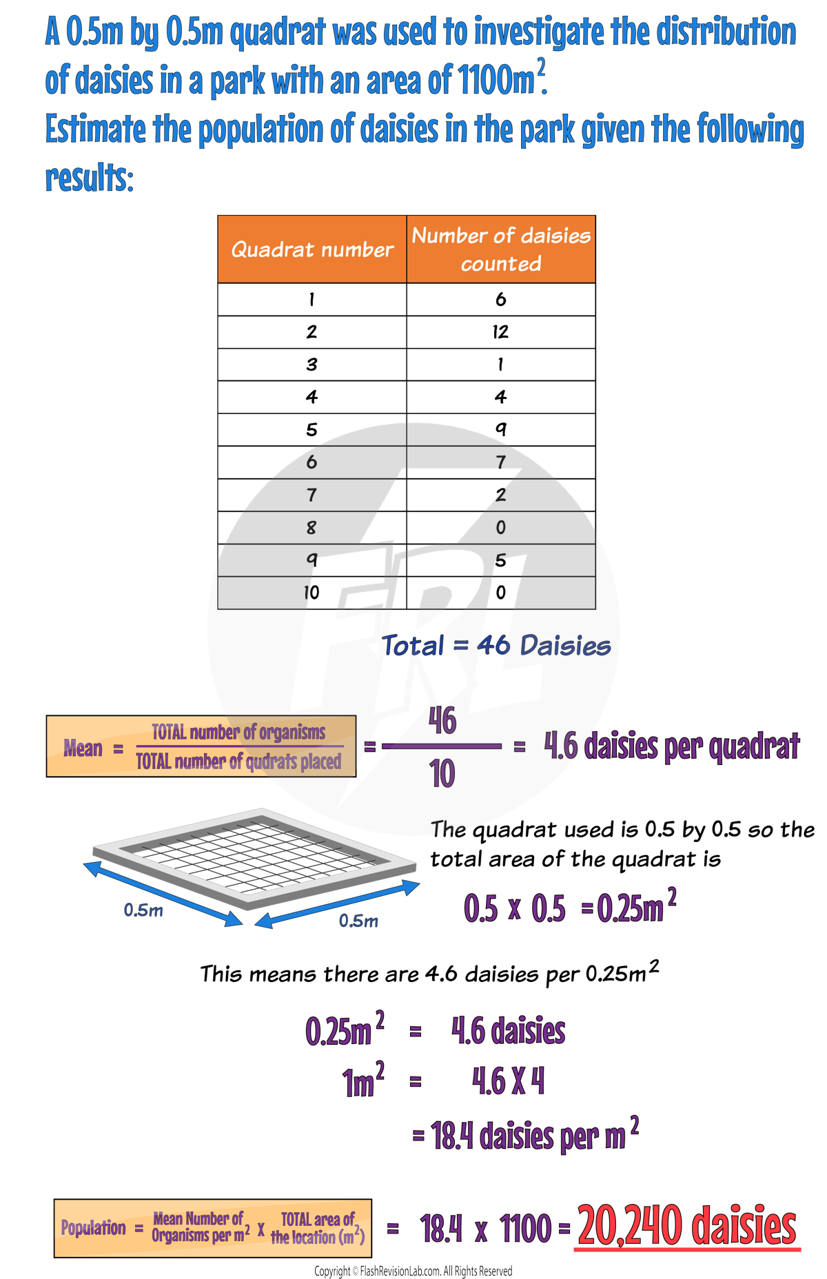 Quadrat Example